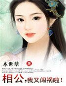 《相公,我又闯祸啦!》