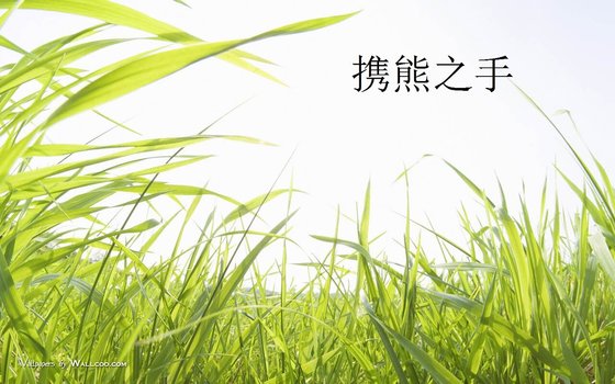 攜熊之手