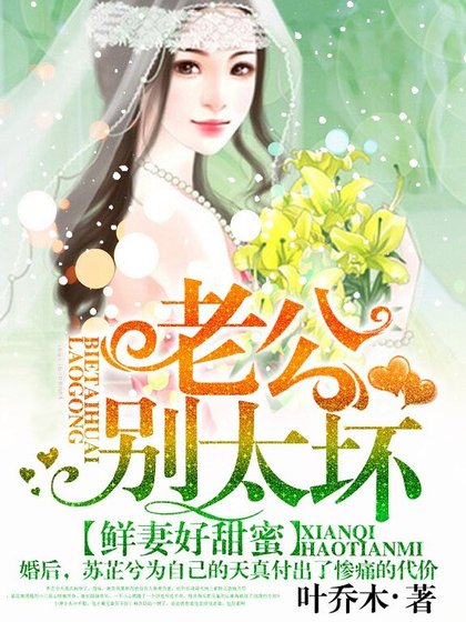 甜蜜闪婚:老公,宠上天