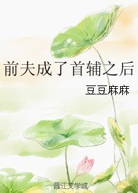 《前夫成了首辅之后》
