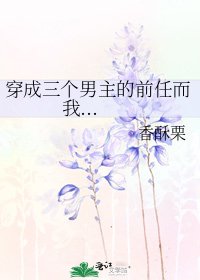 《穿成三个男主的前任而我...》