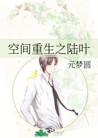 《空间重生之陆叶》