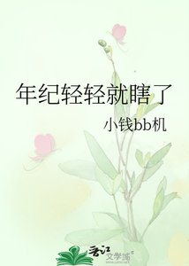 《年纪轻轻就瞎了》