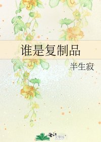 《谁是复制品》